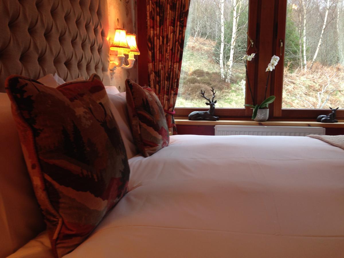 ไฮแลนด์ แบร์ ลอดจ์ แอนด์ ลักชัวรี แบร์ ฮัท Bed & Breakfast ดรัมนาดรอคิท ภายนอก รูปภาพ