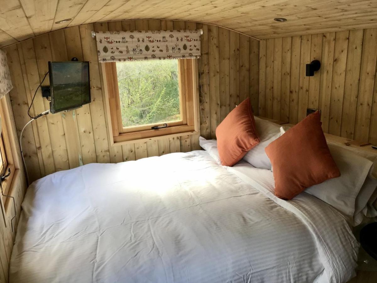 ไฮแลนด์ แบร์ ลอดจ์ แอนด์ ลักชัวรี แบร์ ฮัท Bed & Breakfast ดรัมนาดรอคิท ภายนอก รูปภาพ